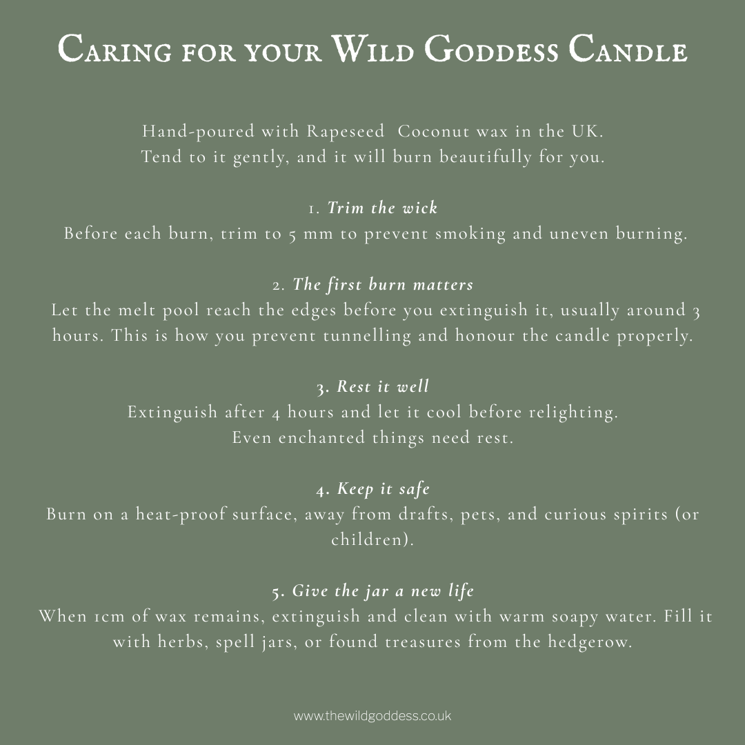 Wild Rose Garden Folklore Candle - The Wild Goddess