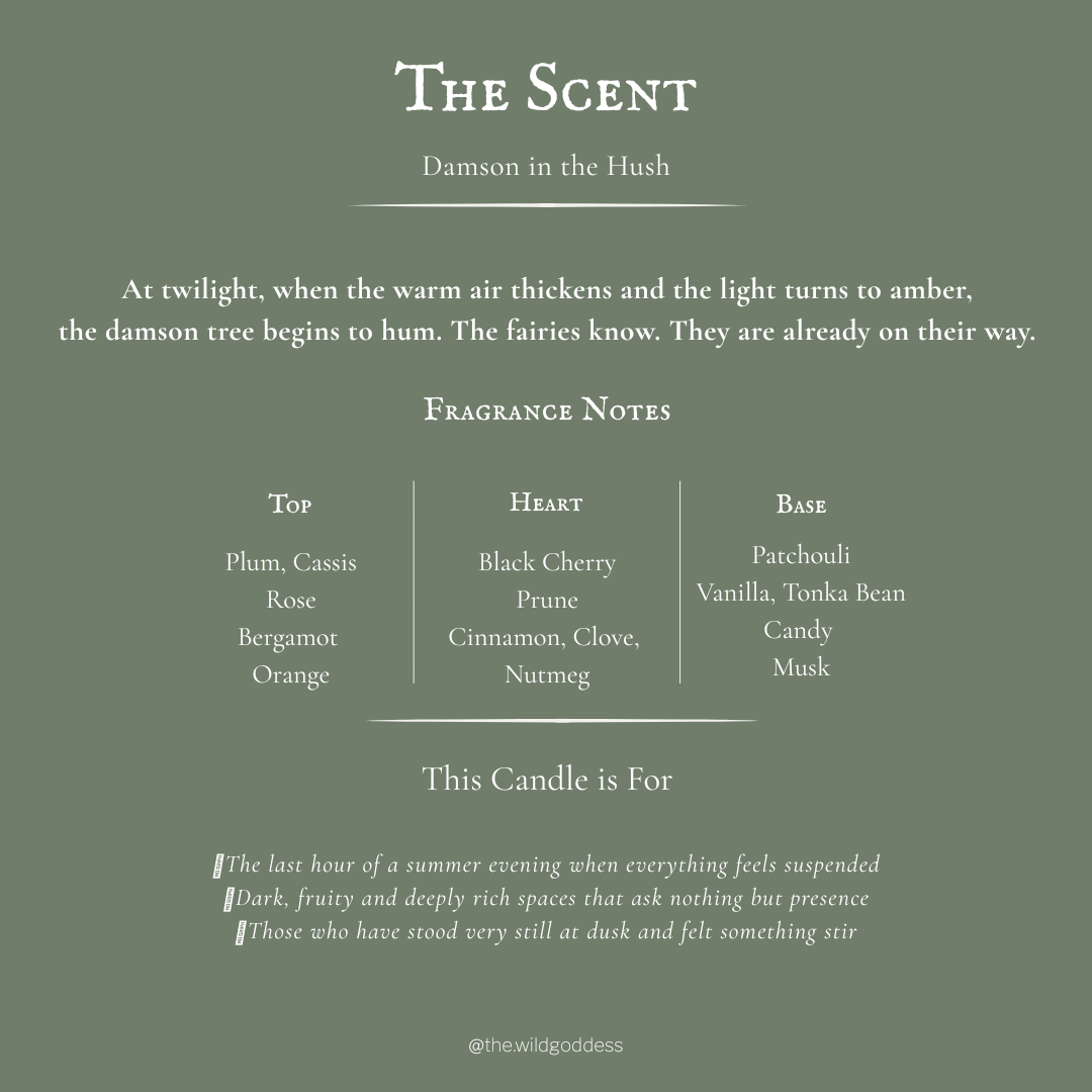 Damson in the Hush Luxury Wax Melts | Plum, Rose & Patchouli - The Wild Goddess