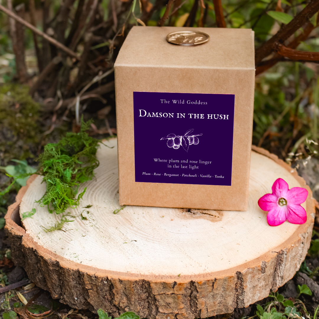 Damson in the Hush Folklore Candle