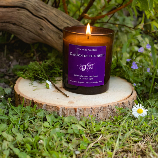 Damson in the Hush Folklore Candle - The Wild Goddess