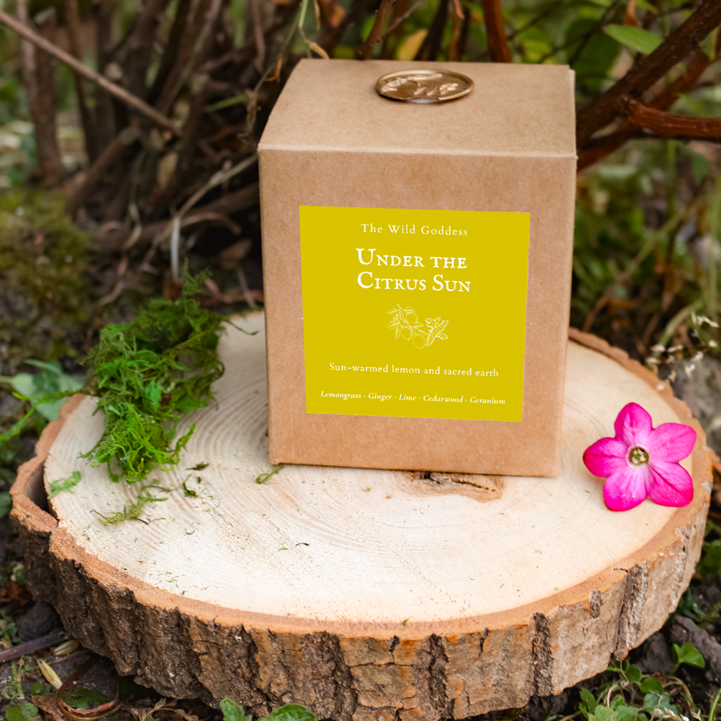 Under the Citrus Sun Folklore Candle