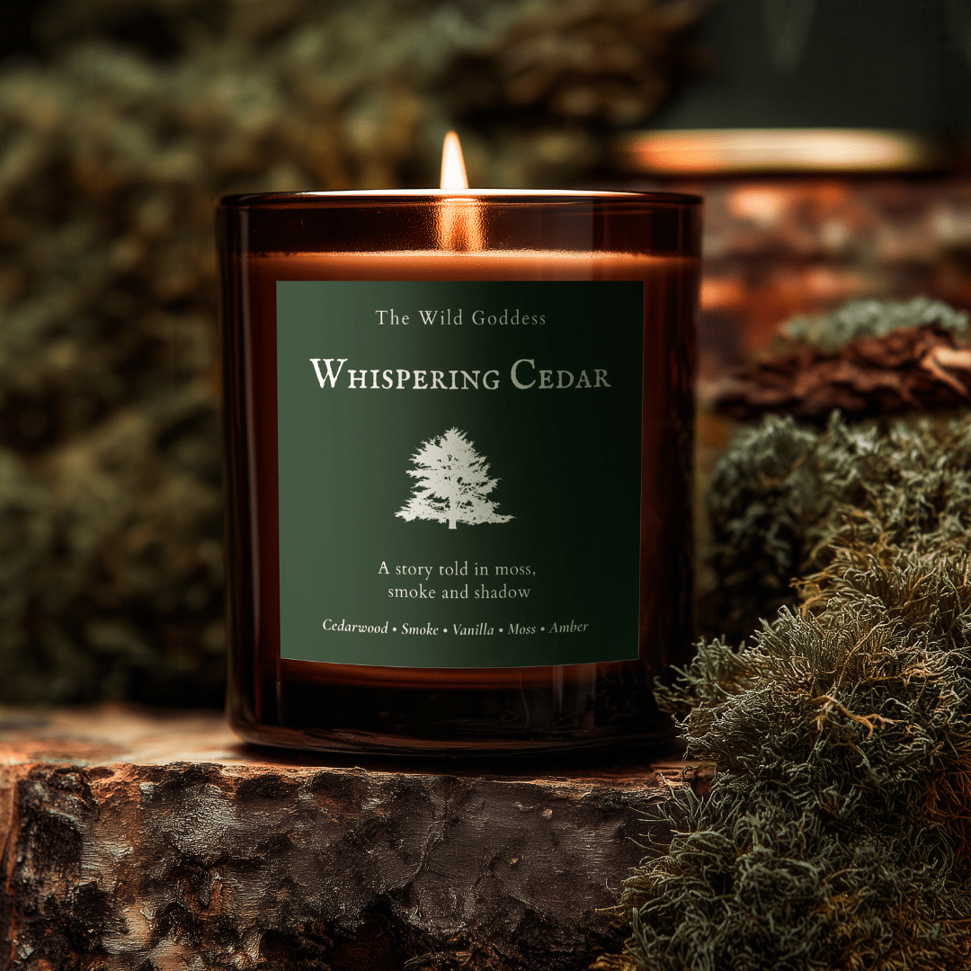 Whispering Cedar – Cedar & Smoke Folklore Candle - The Wild Goddess